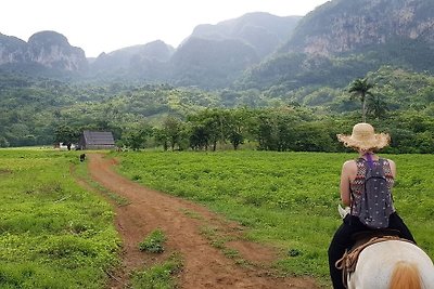 Vakantieappartement Gezinsvakantie Vinales