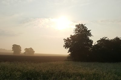 Fewo Seenlandschaft