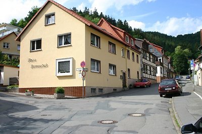 Vakantieappartement Gezinsvakantie Bad Lauterberg im Harz