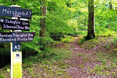 Vakantieappartement Gezinsvakantie Rheinbach