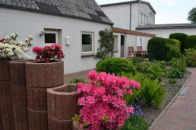 Casa vacanze Vacanza di relax Eckernförde