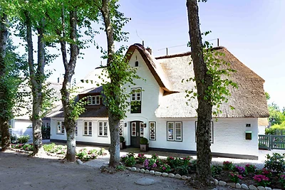 Küstenliebe Nieblum