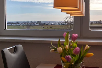 Appartamento Vacanza con famiglia Neustadt in Holstein