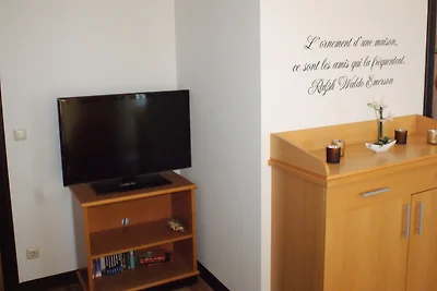 Küstensegler 204 - ABC355