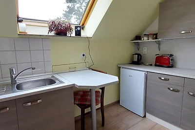Vakantieappartement Gezinsvakantie Gelenau