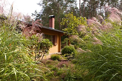 Casa vacanze Vacanza di relax Suderburg