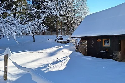 Casa vacanze Vacanza di relax Bad St. Leonhard im Lavanttal