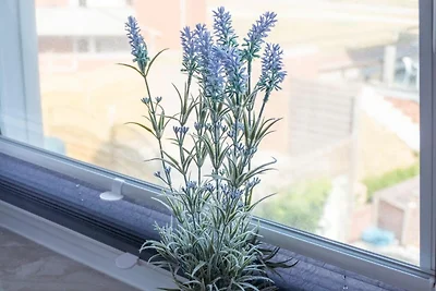 Strandhuus 10 - Wohnung West