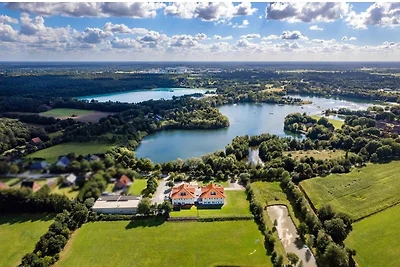 Nr. 9 Deichgraf
