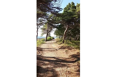Ferienhaus Südstrand**** mit Blick