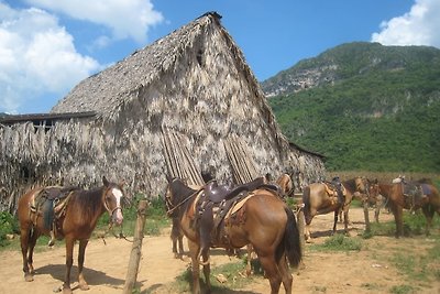 Vakantieappartement Gezinsvakantie Vinales