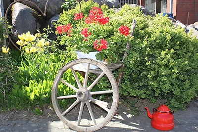 Hof Reckermann I