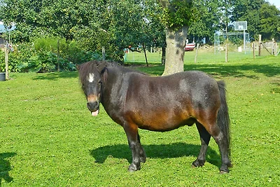 Landglück