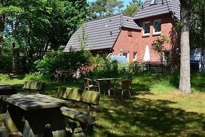 Kegelrobben