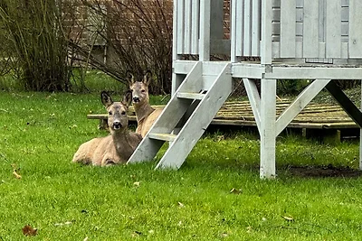 Vakantieappartement Gezinsvakantie Burg auf Fehmarn