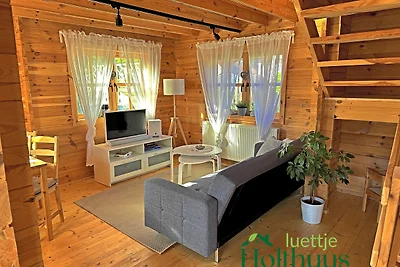Ferienhaus "luettje Holthuus"