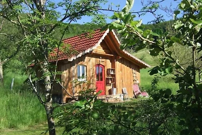 Sonniges, naturnahes Schwarzwald