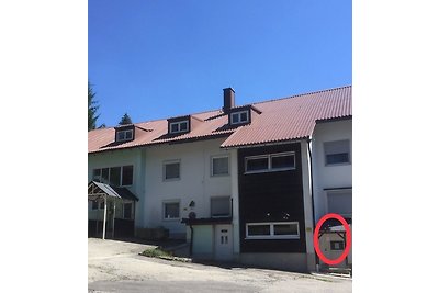 Vakantieappartement Gezinsvakantie Haidmühle