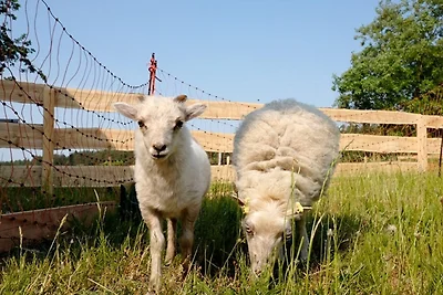 Ferienhaus Sommerwiese - ABC327