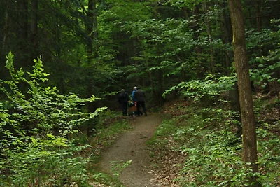 Ferienhaus Pahl in Wolfshagen