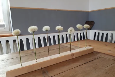 Ferienwohnung Hof Alms