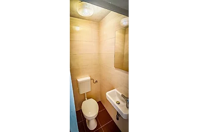 Spreewälder Schwalbenhof -