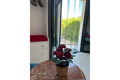 Habitacion Oliva