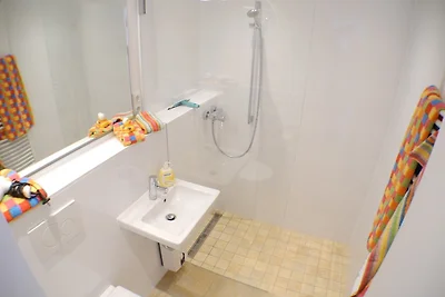 Uferschwalbe - Hohwacht