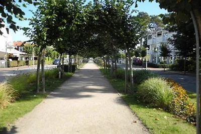 Ferienhaus Falky - Baabe