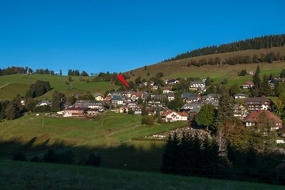 Appartamento Vacanza con famiglia Todtnau