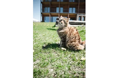 Ferienwohnung Stille in Südtirol -
