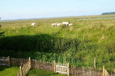 Kuća za odmor Dopust za oporavak Tönning