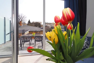 (Brise) Ferienhaus Alter Anker App.