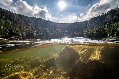 Vakantieappartement Gezinsvakantie Feldberg