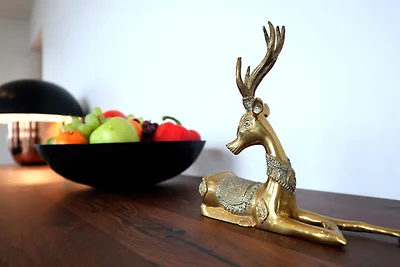 Alpin Penthouse Hollersbach