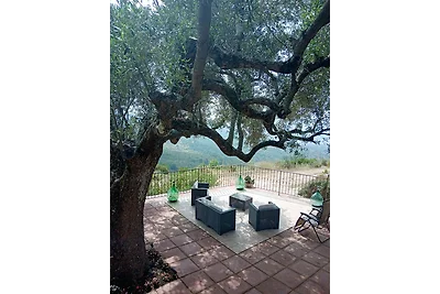 Vakantiehuis Ontspannende vakantie Camerota