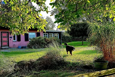 Hof Garz Wohnung Rosengarten
