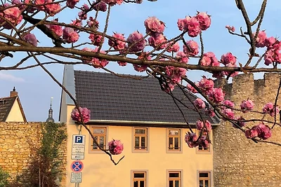 Vakantieappartement Gezinsvakantie Eltville