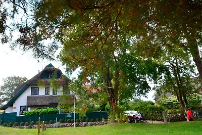 Casa vacanze Vacanza di relax Groß Zicker
