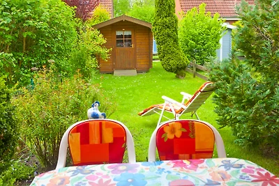 Strandmuschel
