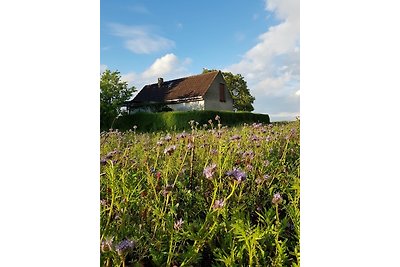 Vakantiehuis Ontspannende vakantie Gransee