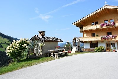 Vakantieappartement Gezinsvakantie Wildschönau