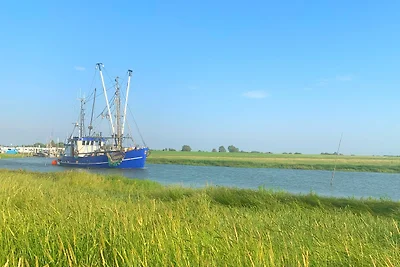 Vakantieappartement Gezinsvakantie Dorum