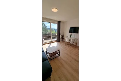 Appartamento Vacanza con famiglia Goslar