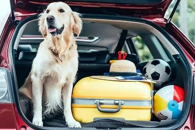 Ferienwohnung Haus Vietzen 2