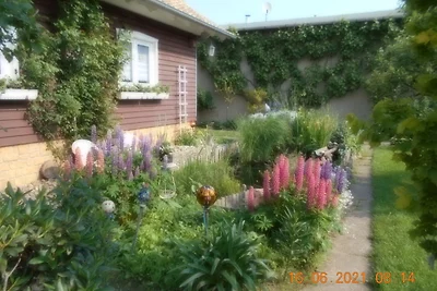 Appartment Dankerode