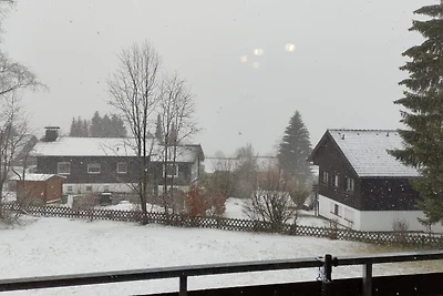 Dat Harzchen - mit Garage und WLAN