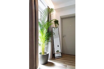 Comfy Apartment 01 - Urban Jungle