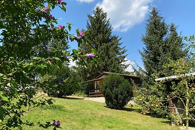 Waldfrieden Holzbungalow