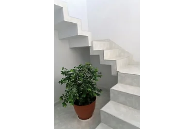 Casa Amigos de Barcelo Appartement